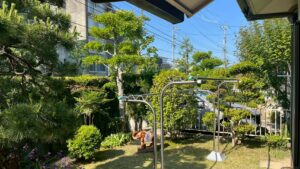 広島市 芝庭 手入れ