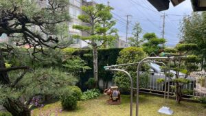 広島市の和風芝庭をすっきり綺麗にお手入れ