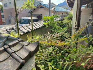 広島市安芸区の空き家で竹・庭木を剪定