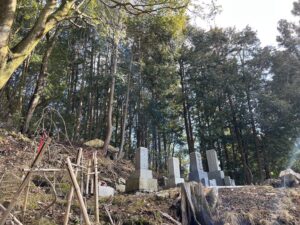 安芸高田市甲田町の墓所にかかった樹木の伐採