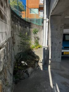 広島市西区 ユッカラン 伐採後
